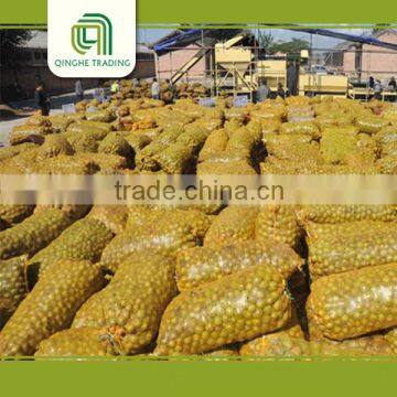 High Quality Light Quarters Walnut Kernels Market Price photo-3