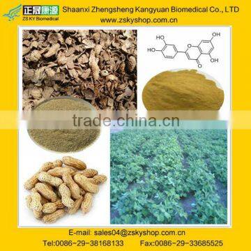 Best price of peanut shell extract Luteolin powder