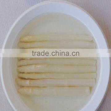 New season cut fresh chinese organic canned white asparagus