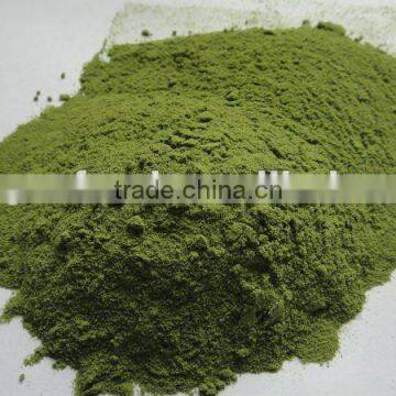 supply dehydrated spinach powder 2012 new