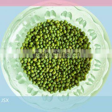 JSX Peeling Sparkled Kidney Beans South Asia Best Quality Green Mung Bean photo-4