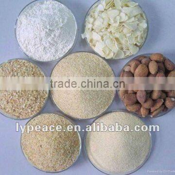 garlic powder with superior quality 2012