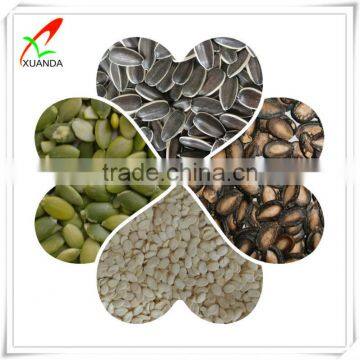 Water Melon Seed Kernels photo-2
