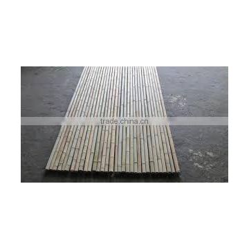 Diameter 6/8 mm up bamboo/ Vietnam Bamboo Pole