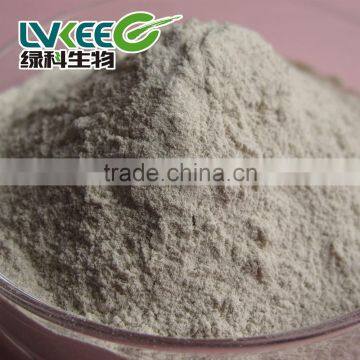 High Quality 50 Bilion Cfu/g Bacillus Laterosporus for Animal Additives Supplements
