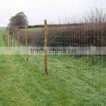 High Strength Galvanized Field Fence photo-5