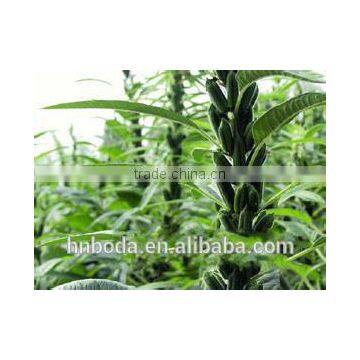 Microwave Sesame Baking/roasting Equipment photo-3