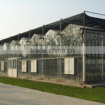 XINHE Manufacturer supply Larger Multi-span Glass Greenhouse