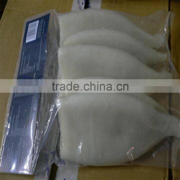 Interleaved Pacific Squid Tube (Todarodes Pacificus) photo-6