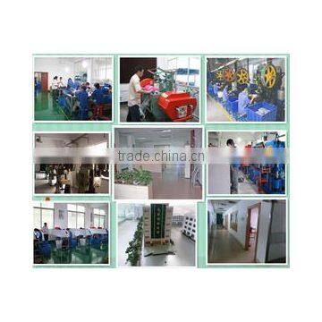 Dongguan Zhanhong Silicone Rubber Co., Ltd.