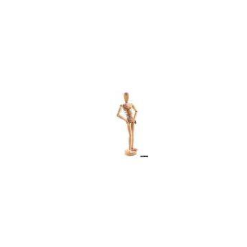 Manikin