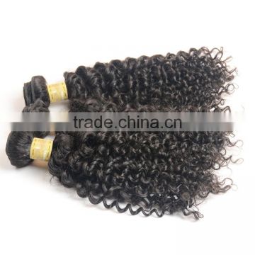 100% natural Indian human hair price list, Tangle free virgin raw Indian curly hair