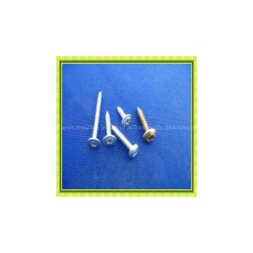 Small Oval Head Philips Self Tapping Screw photo-3