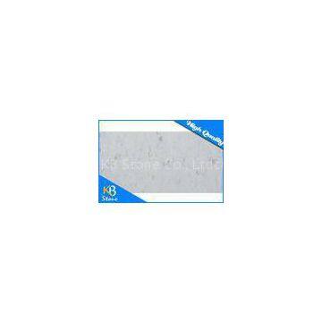 Polished Bianco White Carrara Stone Marble Tiles For Hotel / Home Decoration Wall Sheet
