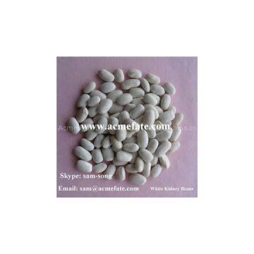 White Kidney Beans