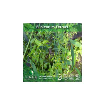 Bupleurum Extract