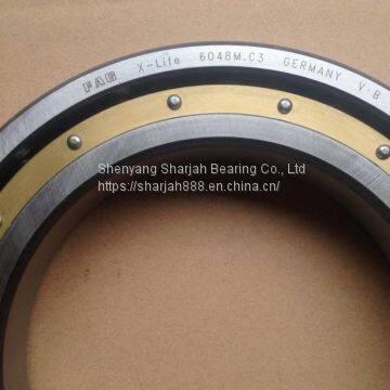 FAG 6048 Deep groove ball bearing