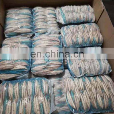 Wholesale Frozen Steamed Mackerel Fillet Block photo-5