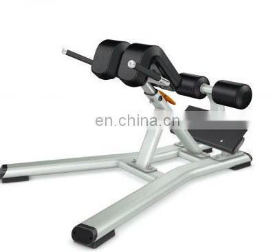 ASJ-DS033 Back Extension fitness equipment machine commercial gym equipment