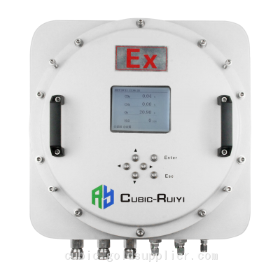 Online Biogas Analysis System Gasboard-3500