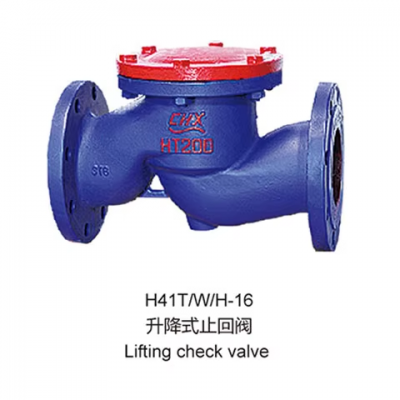 GB Swing Start Type Check Valve PN10 PN16 Grey Cast Iron HT200 Flange Metal Seal Factory Price Hot Selling Swing Check Valve photo-2