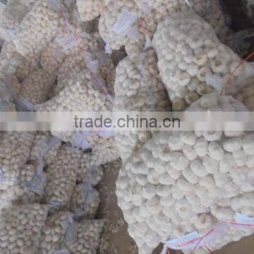 Chinese Pure White Garlic New Crop 2016 Fresh Best Qaulity photo-6