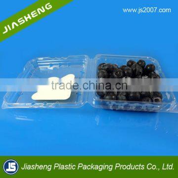 Square Clamshell Packaging Boxes for Fruits with Custom Lables and Holes