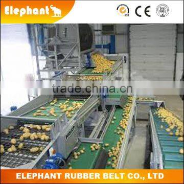 PVC Belts Food Grade