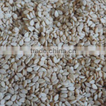 Natural White Sesame Seeds