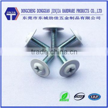 m3*10 metric plastic head decorative washer head machine screw