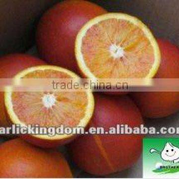 Sell Chinese navel orange,blood,15kg ctn packing