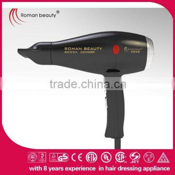 Salon professional hair dryer