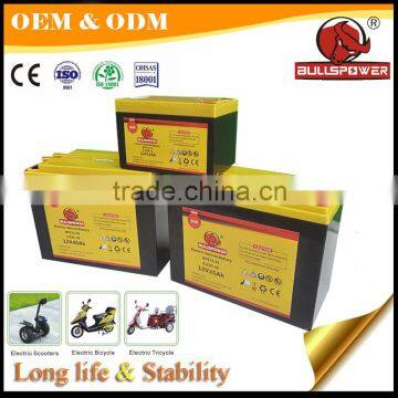 48V 24V 36V electric bike 12v 12ah 6-dzm-12 battery electric scooter battery