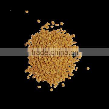 Fenugreek Seed