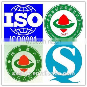 Fresh Green Kiwi photo-4