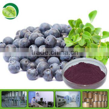 Blueberry extract anthocyanins 25%