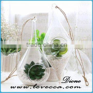 Plant Hanging Teardrop Shaped Glass Vase for Sale photo-4