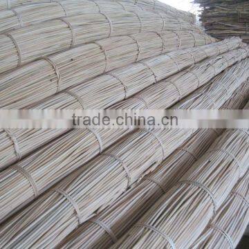 Rattan raw material