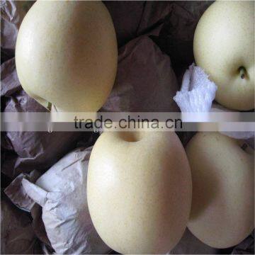 Fresh Golden Pears 18/20/22/24/36/40/44/48/72/80/96/112s photo-3