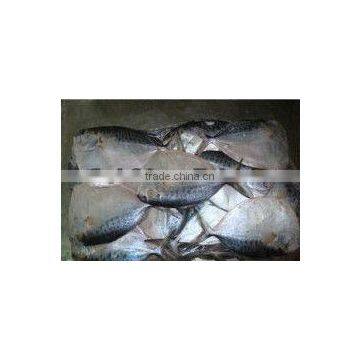 Hot sale Frozen Moonfish whole round