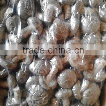 Shiitake Mushroom photo-5