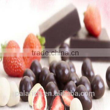 dried fruit chocolate chips with fast delivery 13