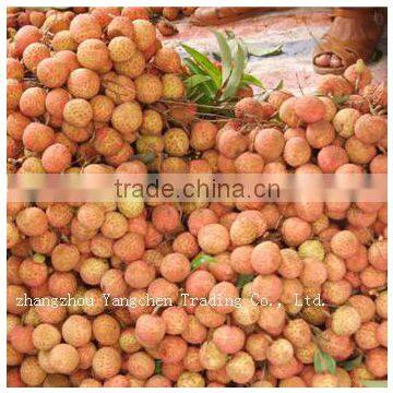 2014 Newest Crop Chinese Canned Litchi Processing