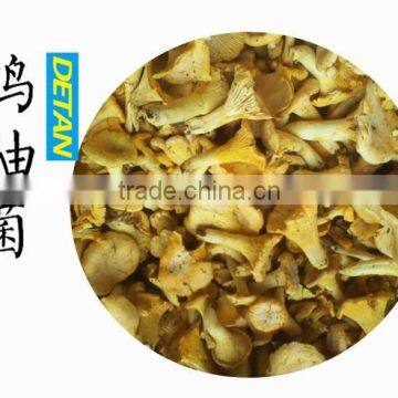 Dry Chanterelles Mushrooms Wild Hot Sell