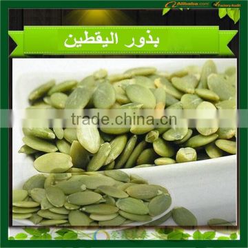 Organic High Quality Pumpkin Seeds, Certified