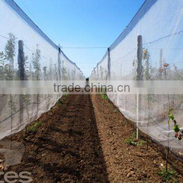 HDPE Agriculture Vineyard Plastic Apple Tree Anti Hail Net for Plantations