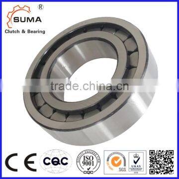 Single Row Full Complement Cylindrical Roller Bearing (SL18 SL19) photo-6