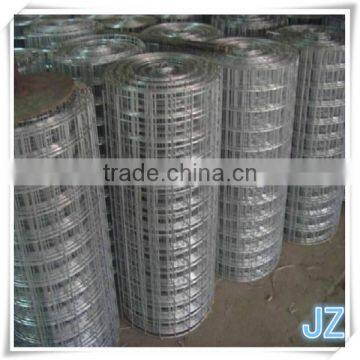 Best Selling!Galvanized Welded wire mesh(ISO9001) 1/4 inch galvanized welded wire mesh