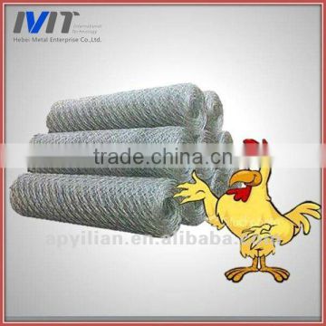 ISO 9000 factory price galvanized and PVC chicken wire for sale