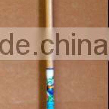 Kitchen Sweeping Broom with Wooden Handle